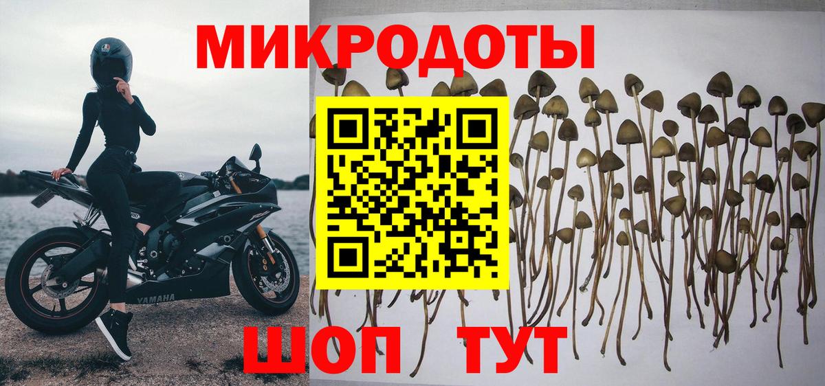 Псилоцибиновые грибы ЛСД Рыбинск